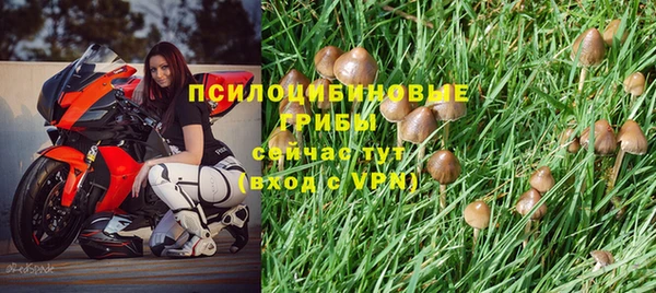 мяу мяу мука Бронницы